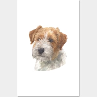 Adorable Rough Coated Jack Russell Terrier Watercolor Art Posters and Art